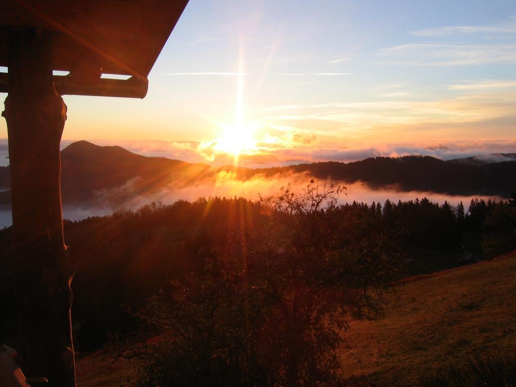 Gostisce In Penzion Stari Vrh Poljane nad Skofjo Loko Exterior photo