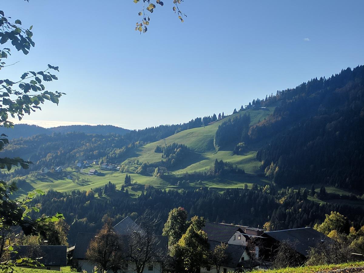 Gostisce In Penzion Stari Vrh Poljane nad Skofjo Loko Exterior photo